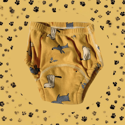 Potty Training Underwear